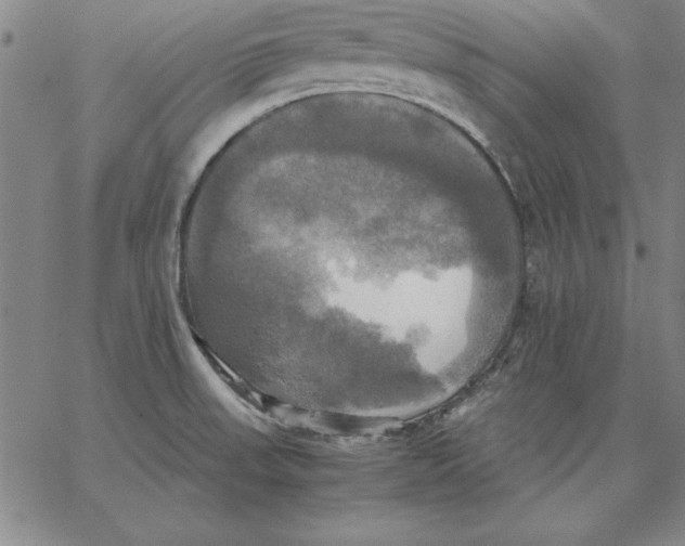 X0000066521523200604071539