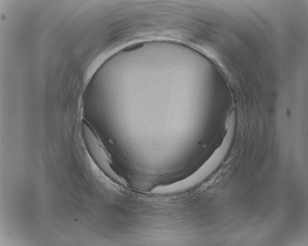 X0000066521524200604071539