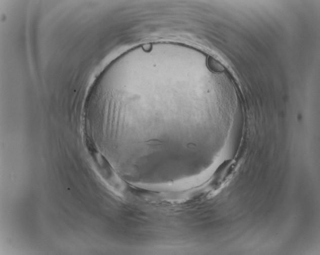 X0000066521525200604071539