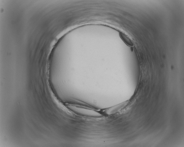 X0000066521526200604071539