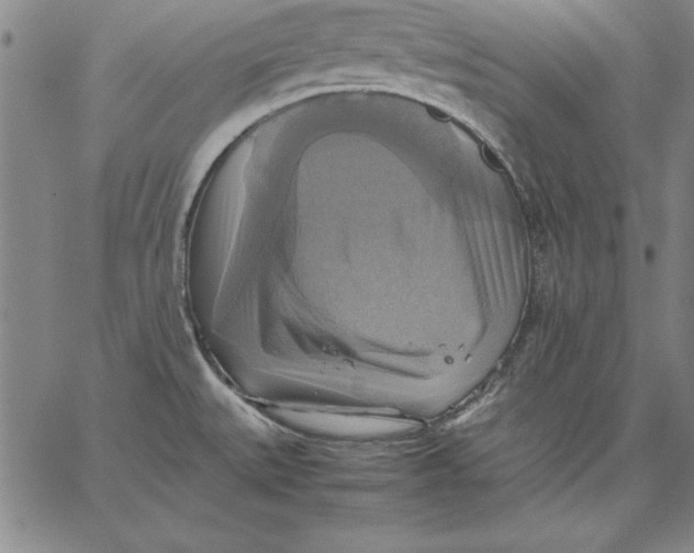 X0000066521527200604071539