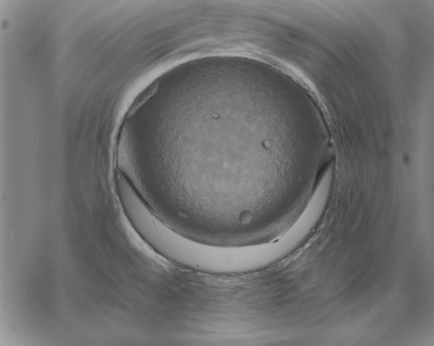 X0000066521528200604071539