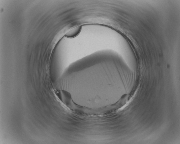 X0000066521529200604071539