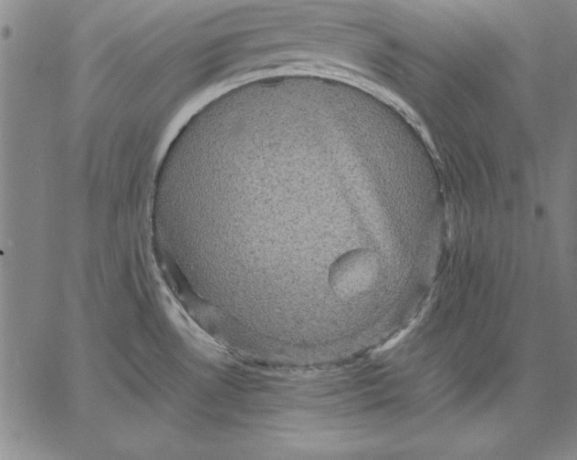 X0000066521530200604071539