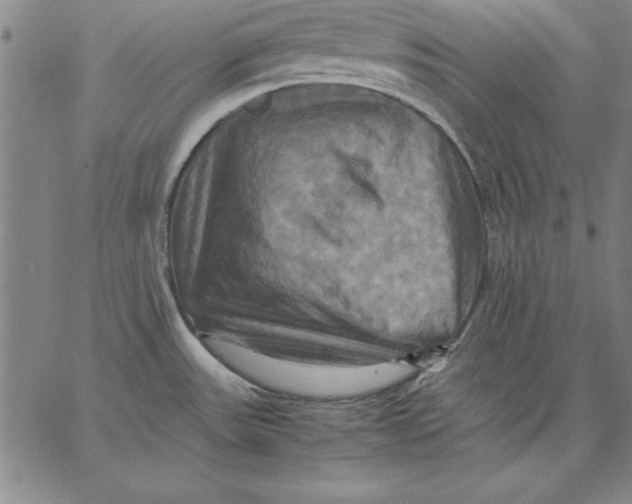 X0000066521531200604071539