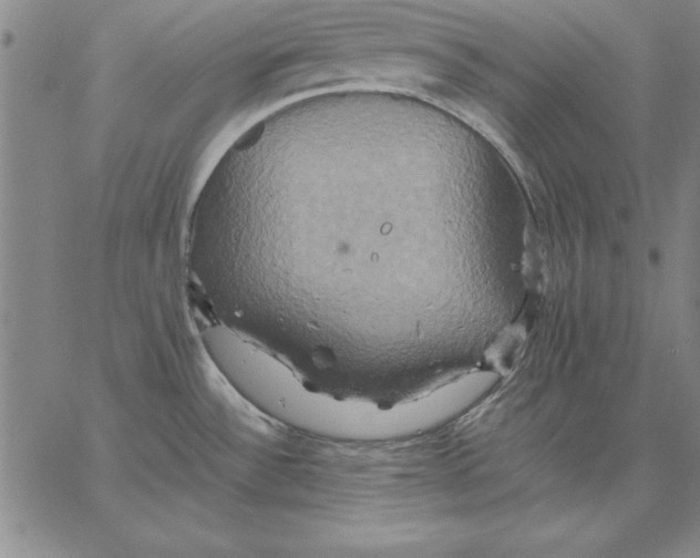 X0000066521532200604071539