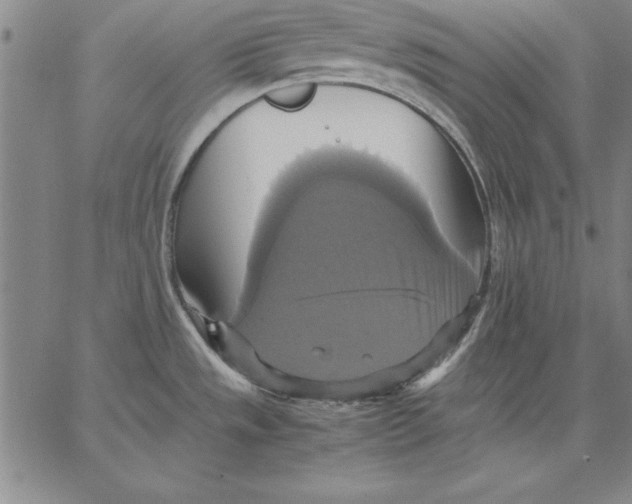 X0000066521533200604071539