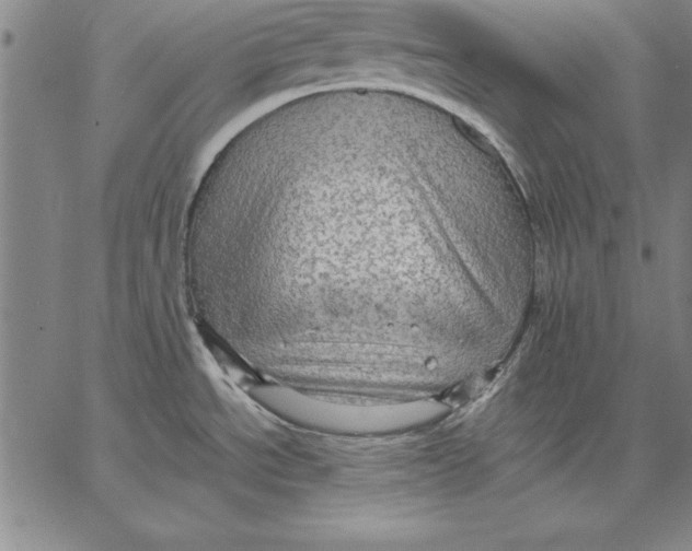 X0000066521534200604071539