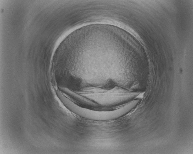 X0000066521536200604071539