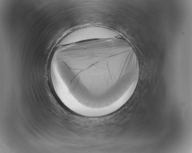 X0000066520002200604141826