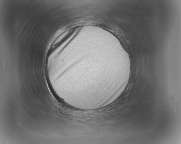 X0000066520003200604141826