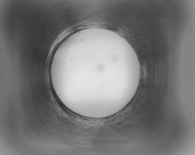 X0000066520004200604141826