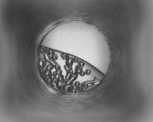 X0000066520005200604141826