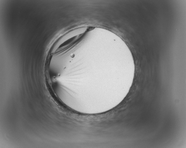 X0000066520007200604141826