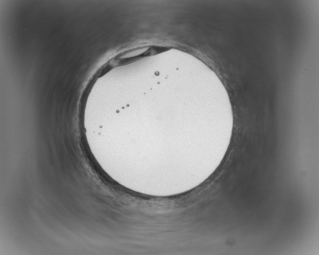 X0000066520008200604141826