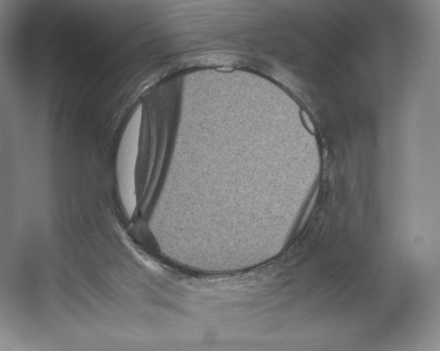 X0000066520013200604141826