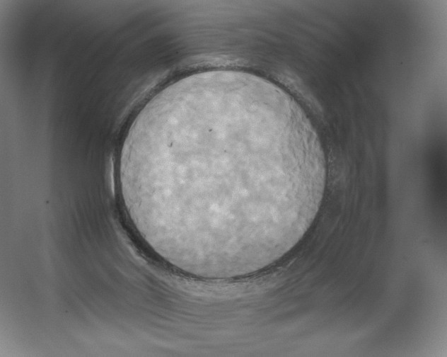 X0000066520014200604141826