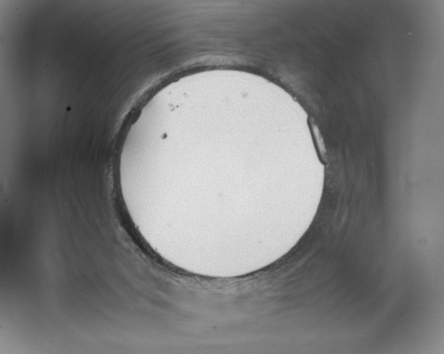 X0000066520015200604141826