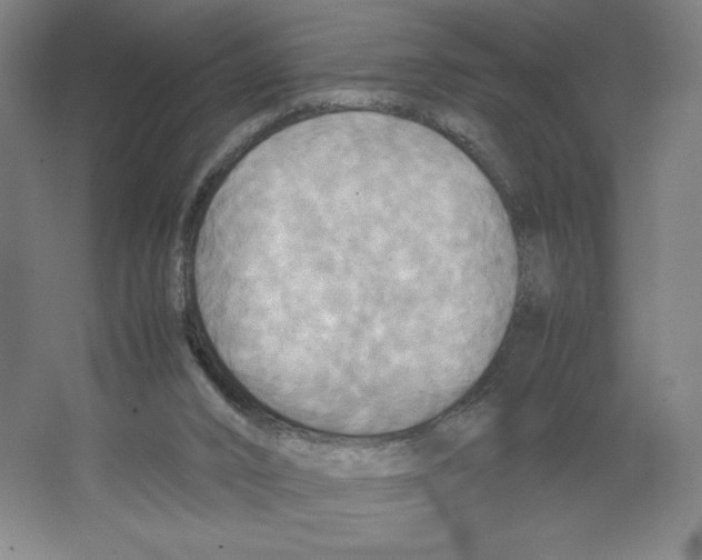 X0000066520016200604141826