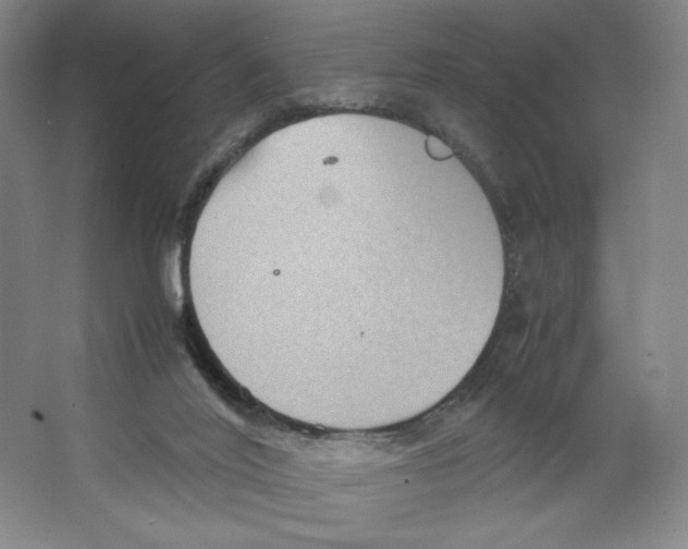 X0000066520020200604141825