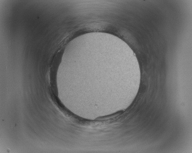 X0000066520021200604141825