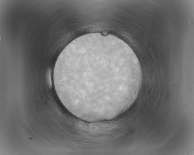 X0000066520022200604141825