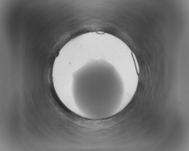 X0000066520023200604141825