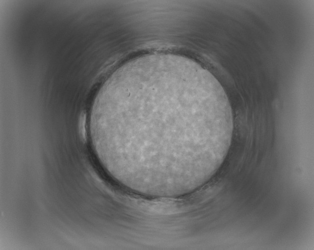 X0000066520024200604141825