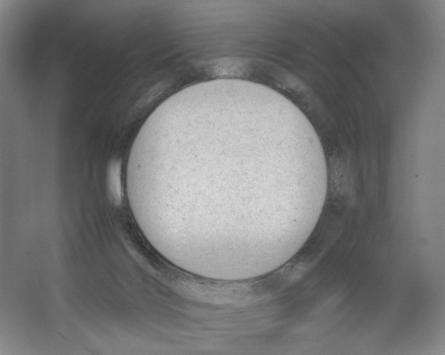 X0000066520028200604141825