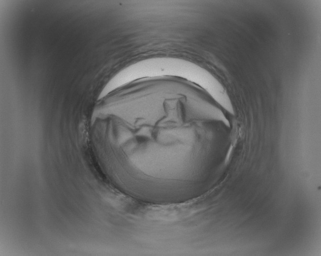 X0000066520029200604141825