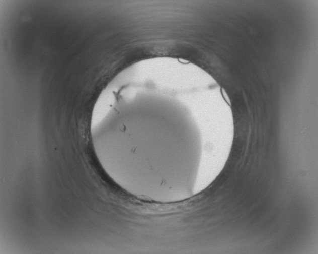 X0000066520031200604141825