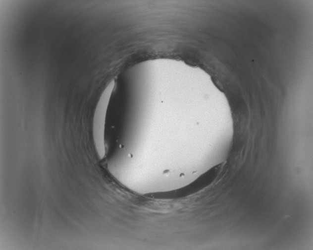 X0000066520033200604141825