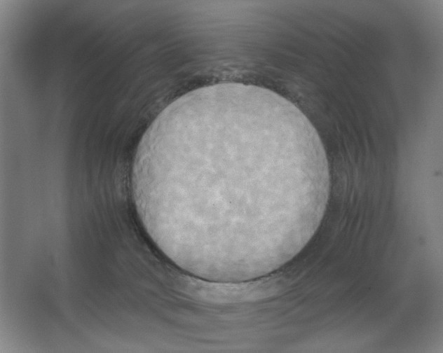 X0000066520034200604141825