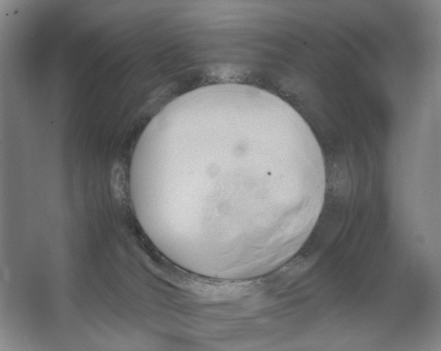 X0000066520036200604141825