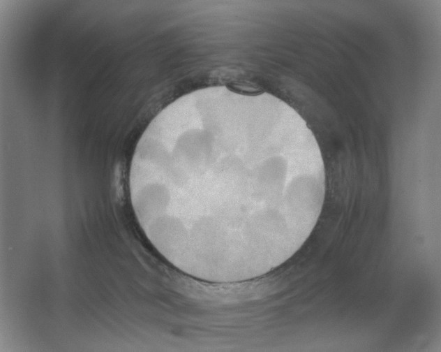 X0000066520038200604141825