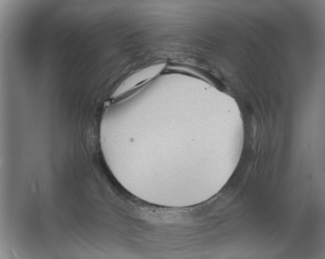 X0000066520040200604141825