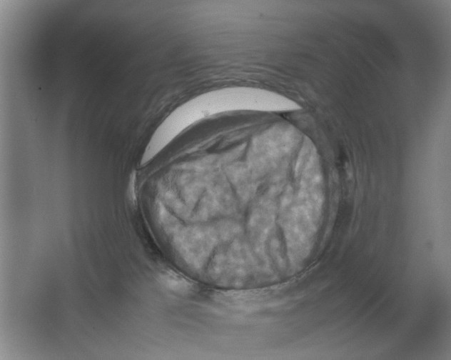 X0000066520041200604141825