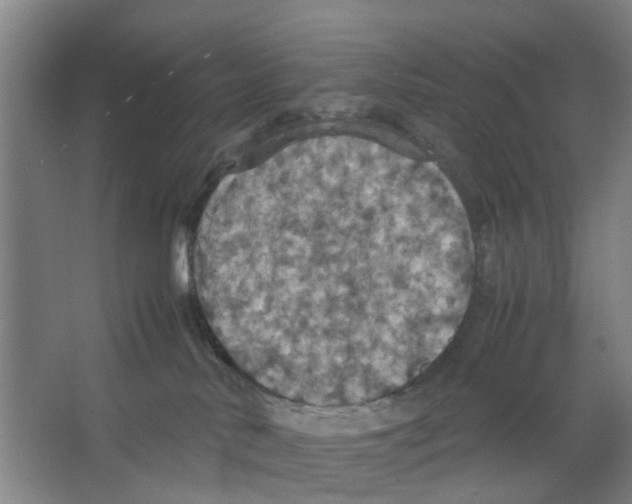 X0000066520042200604141825