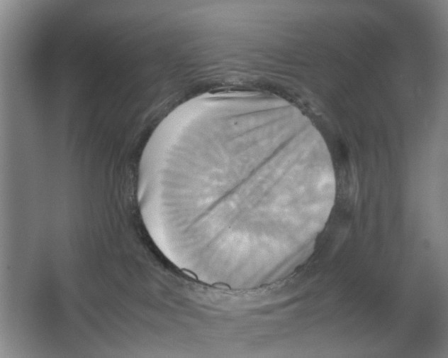 X0000066520043200604141825