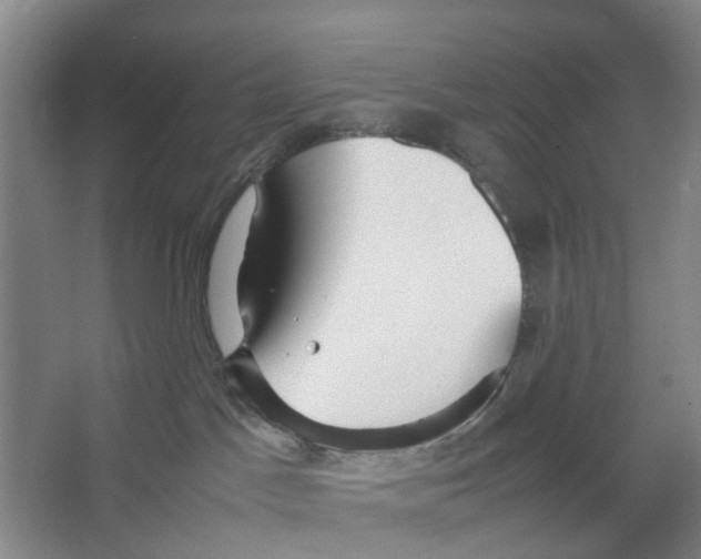 X0000066520045200604141825