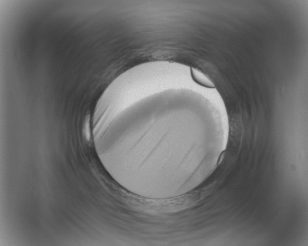 X0000066520046200604141825