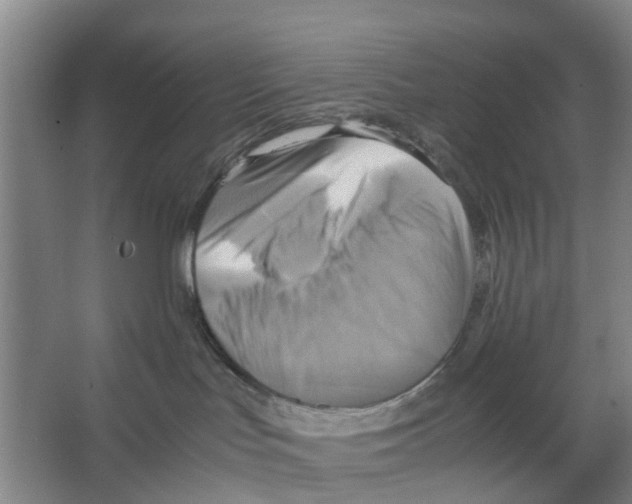 X0000066520047200604141825