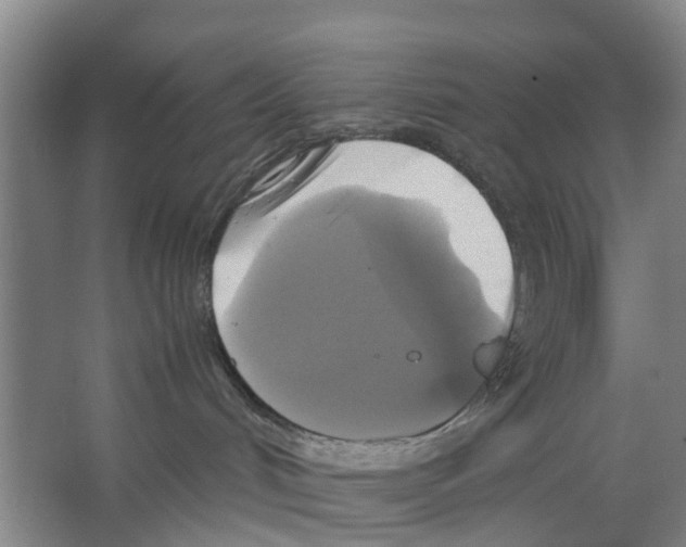 X0000066520048200604141825