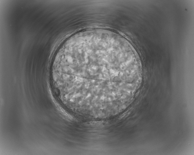 X0000066520049200604141824