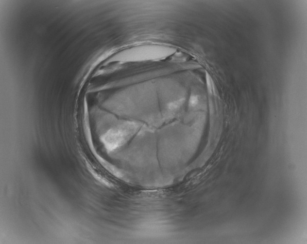 X0000066520050200604141824