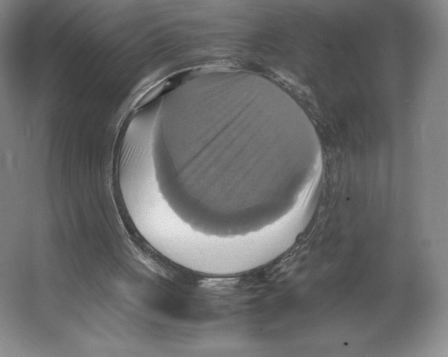 X0000066520051200604141824