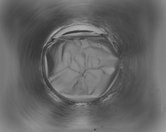 X0000066520052200604141824