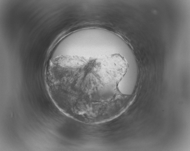 X0000066520053200604141824