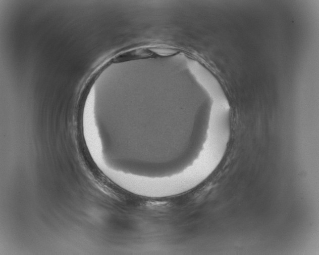 X0000066520055200604141824