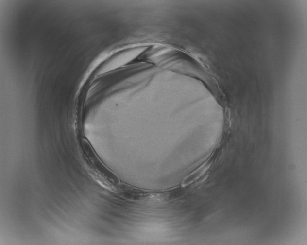 X0000066520056200604141824